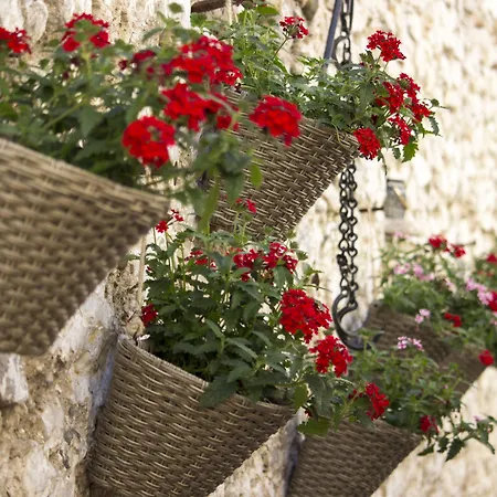 Bed and breakfast Divani 3*