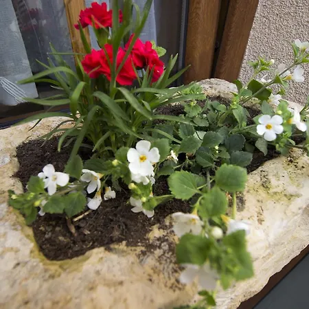 Divani Bed & Breakfast Mostar