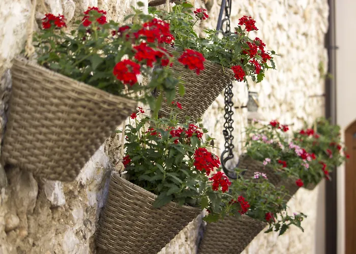 住宿加早餐酒店 Divani 3*