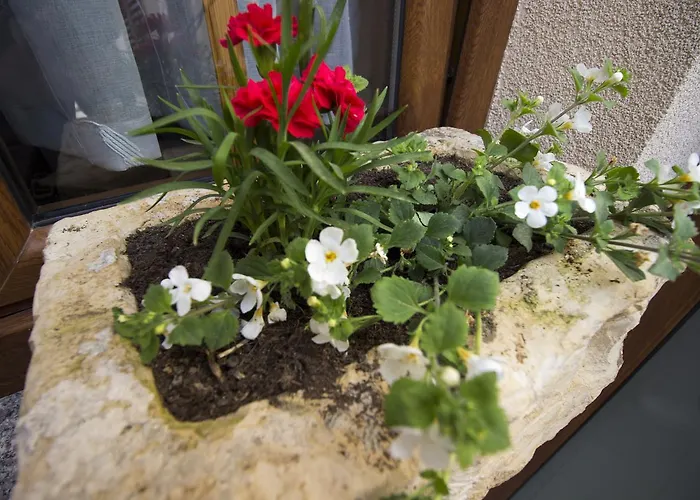 Divani 住宿加早餐酒店 莫斯塔尔